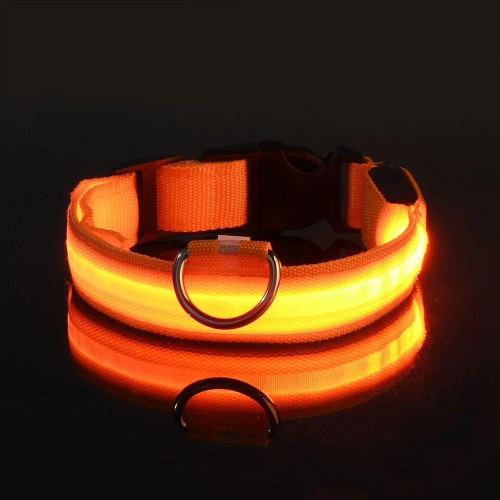 DoggyGo™ Glow Collar