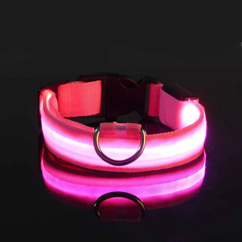 DoggyGo™ Glow Collar