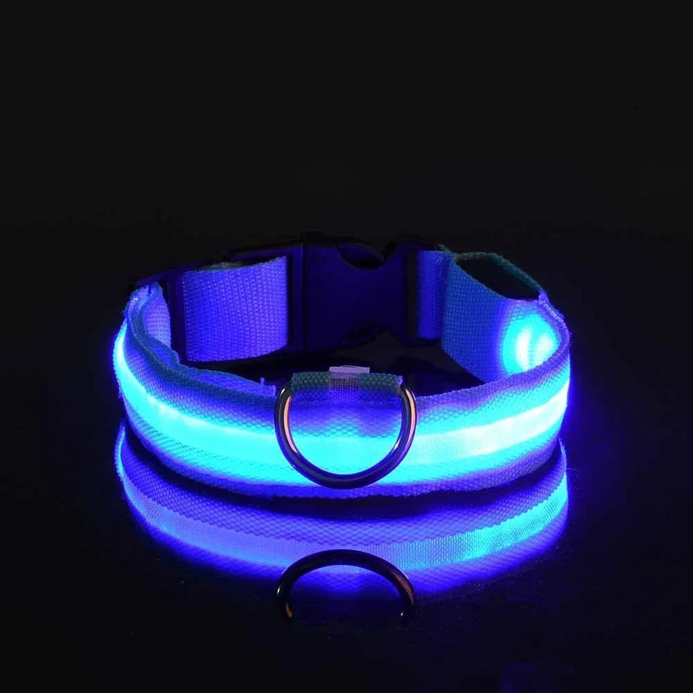 DoggyGo™ Glow Collar