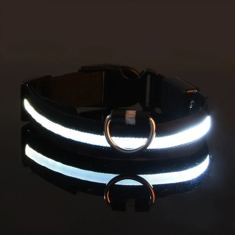 DoggyGo™ Glow Collar