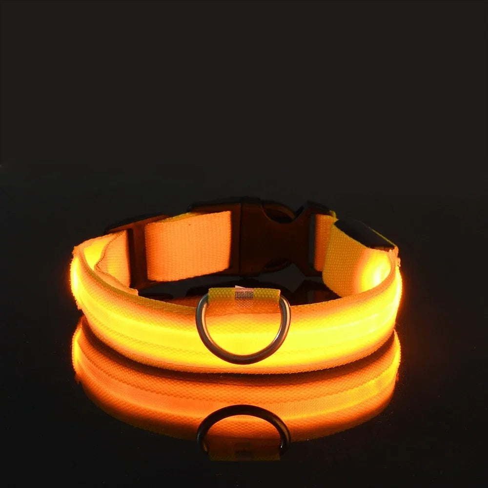 DoggyGo™ Glow Collar