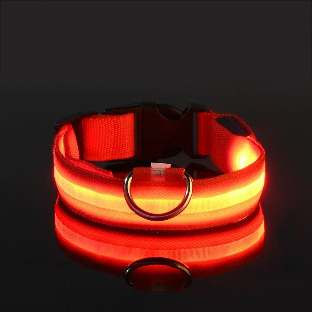 DoggyGo™ Glow Collar