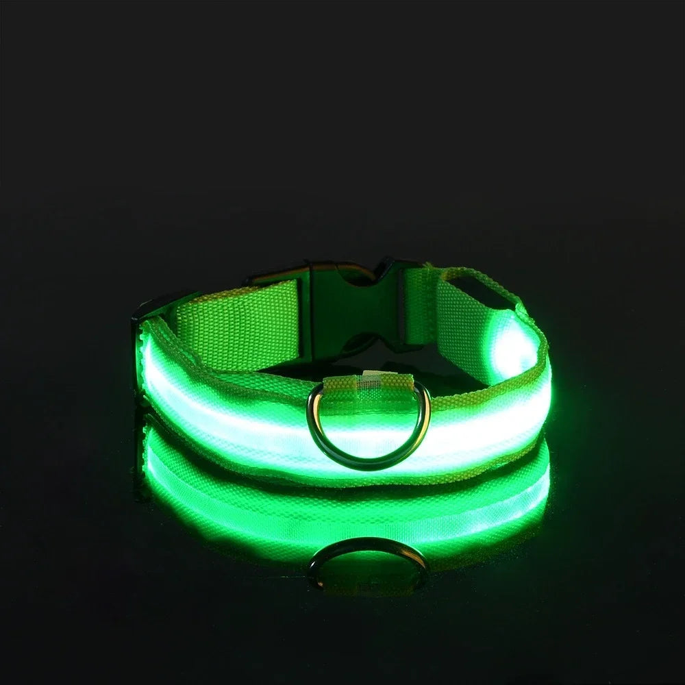 DoggyGo™ Glow Collar