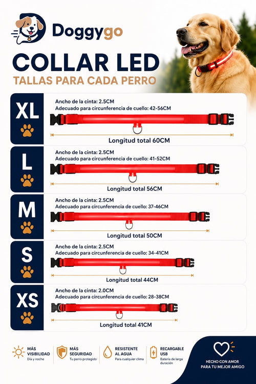 DoggyGo™ Glow Collar